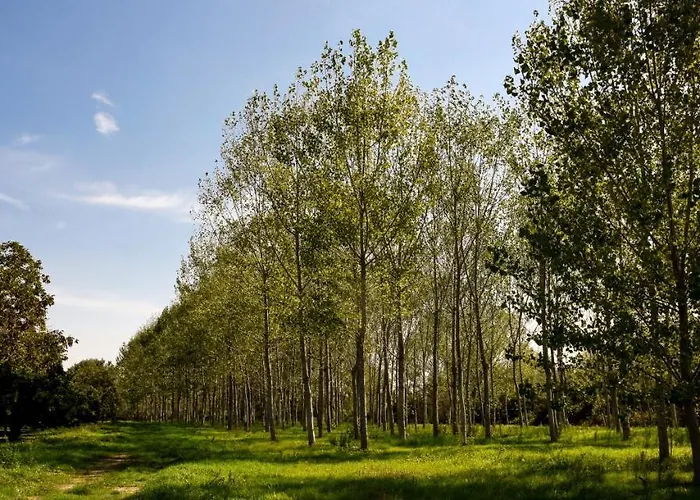Masseria Giosole * Capua